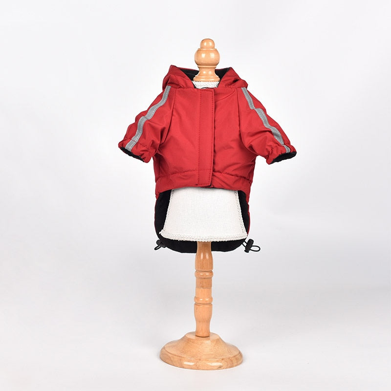 The Dog Face Waterproof jacket