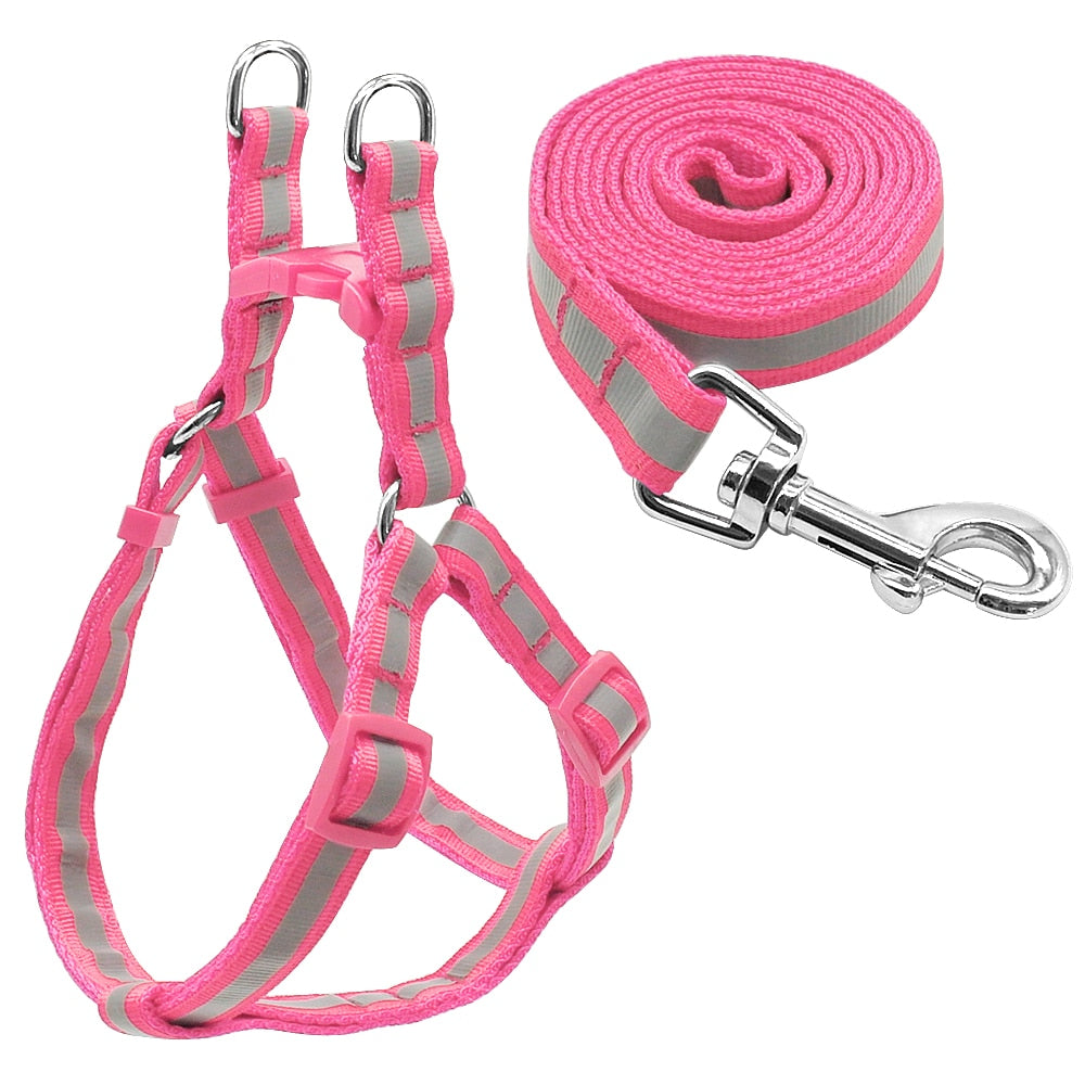 Reflective Dog Leash Set