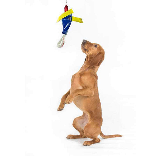 Aussie Dog Heavy Duty Bungie Chook Tough Hanging Dog Toy