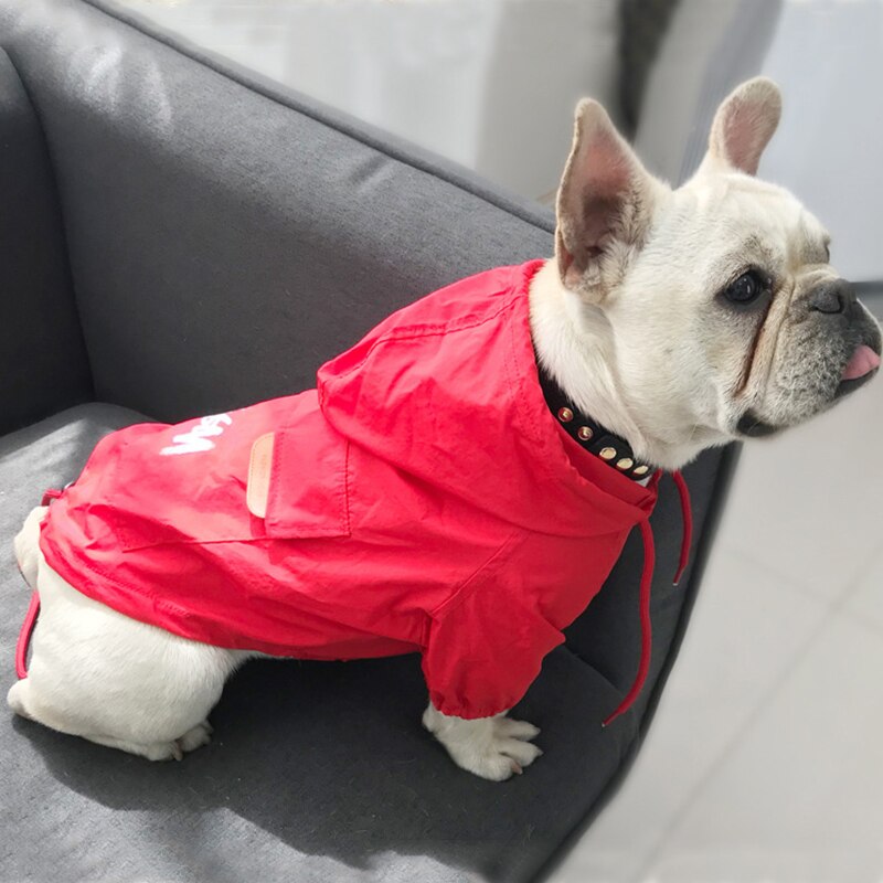 Stylish Dog Windbreaker