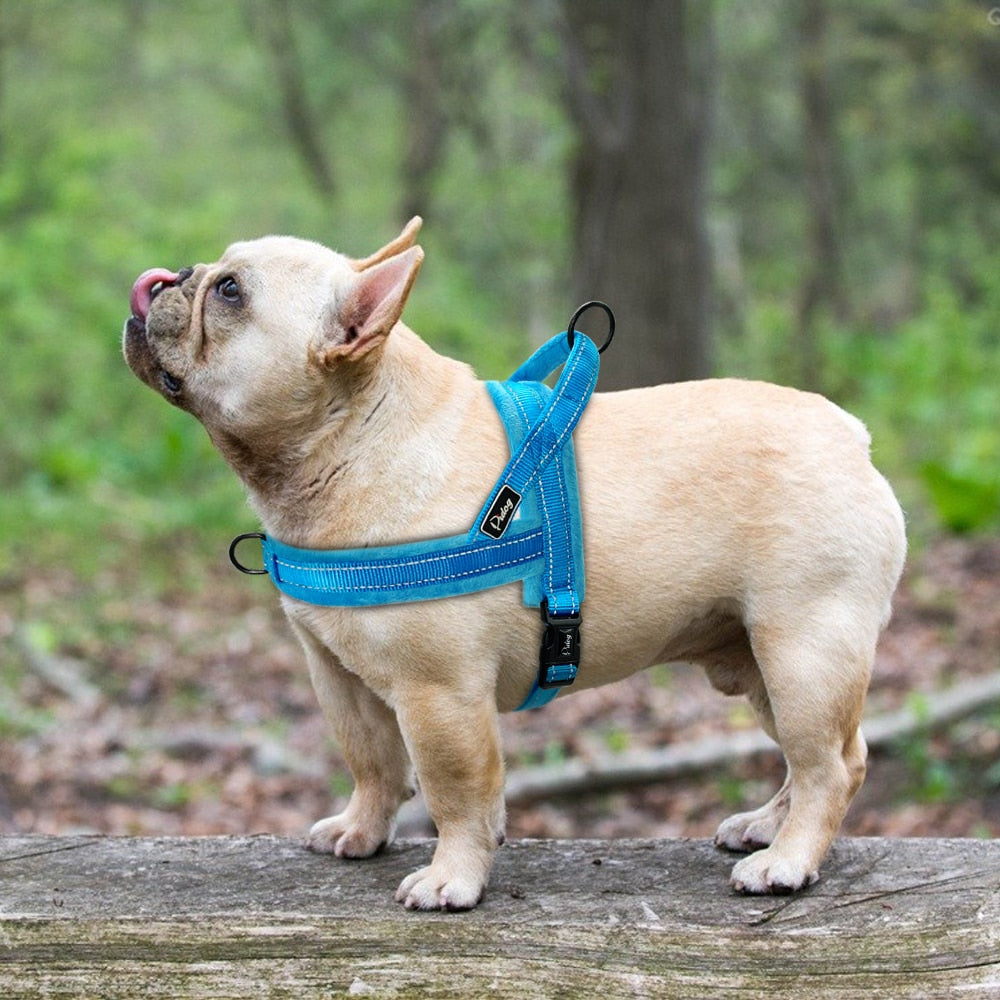 Nylon Reflective Soft Flannel Harness
