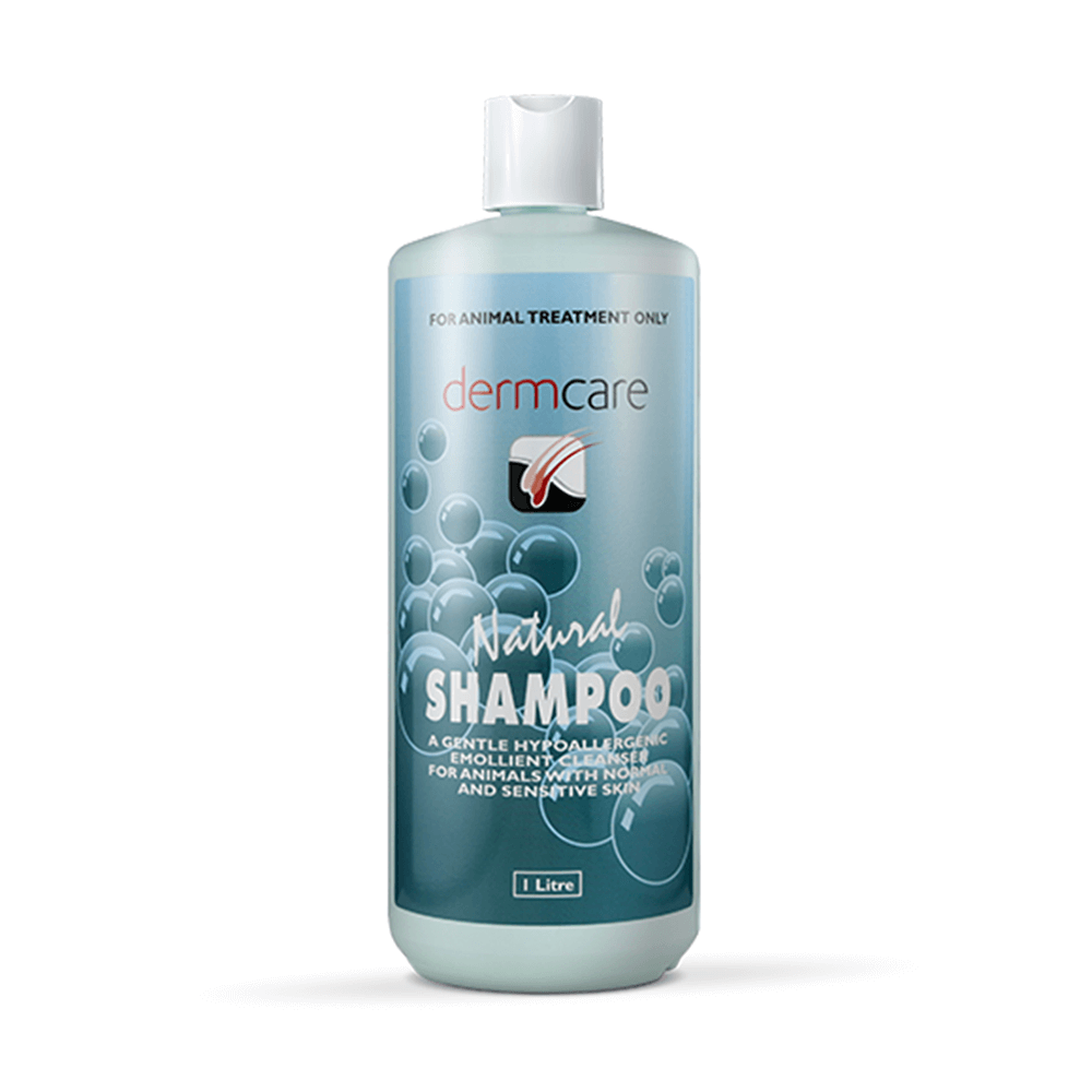 DERMCARE Natural Shampoo