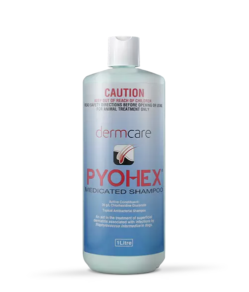 DERMCARE Pyohex Medicated Foam