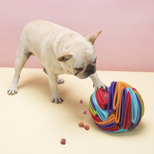 Pet Snuffle Ball
