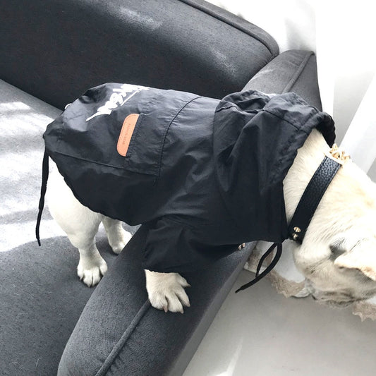 Stylish Dog Windbreaker