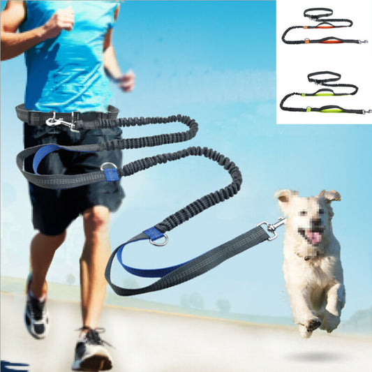 Reflective Waistband Rope Leash