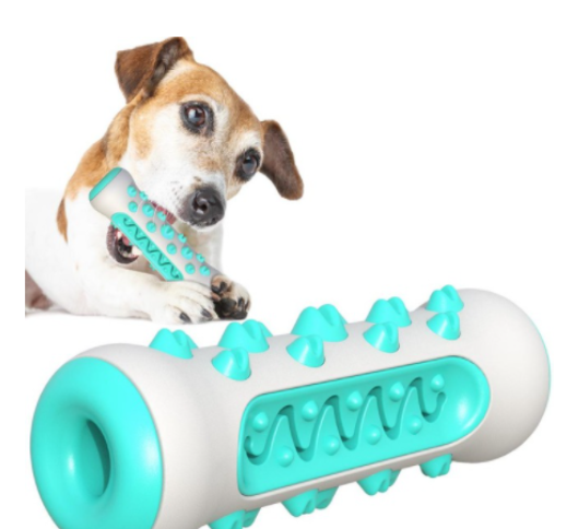 Molar Toothbrush Toy
