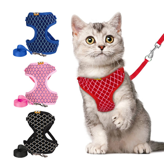 Rhinestone Mesh Cat Harness And Leash Set