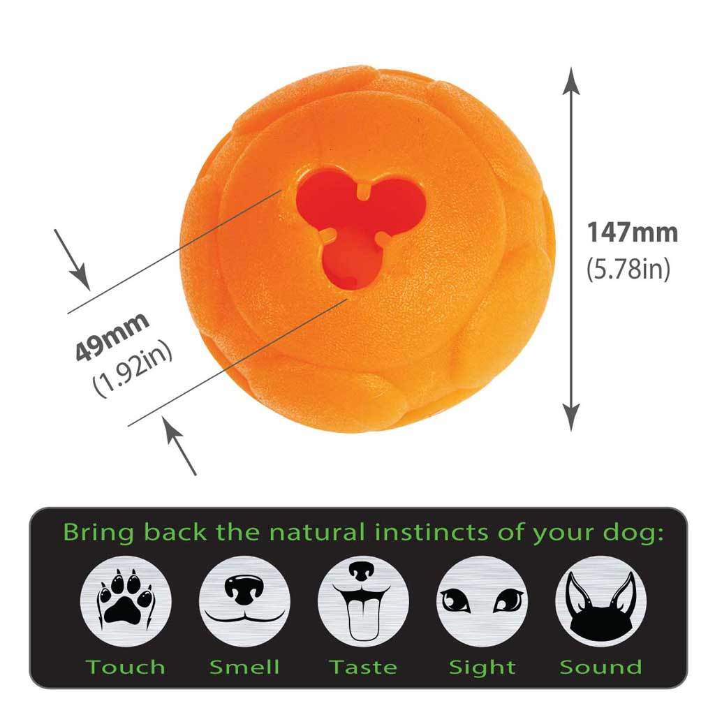 Aussie Dog Buddy Ball - Interactive Food Dispensing Dog Toy - Large