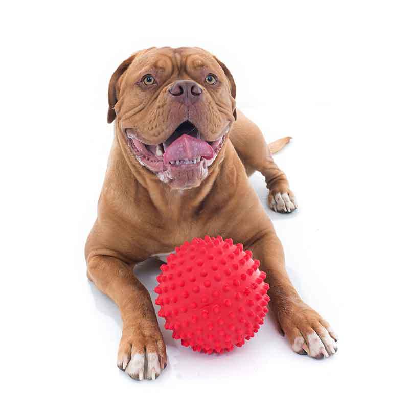 Aussie Dog Mitch Dog Ball - Hard Red