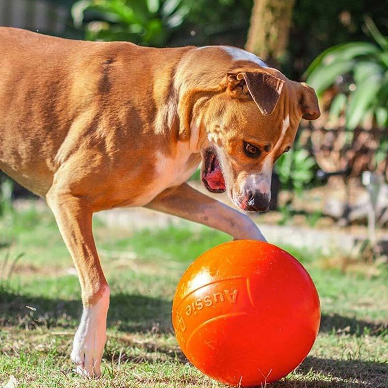 Aussie Dog Staffie Ball - Extra Tough