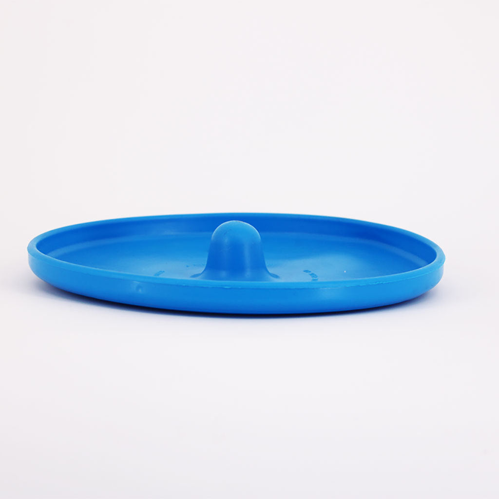 Aussie Dog Flying Disc Fetch Dog Toy - Blue Soft Frisbee