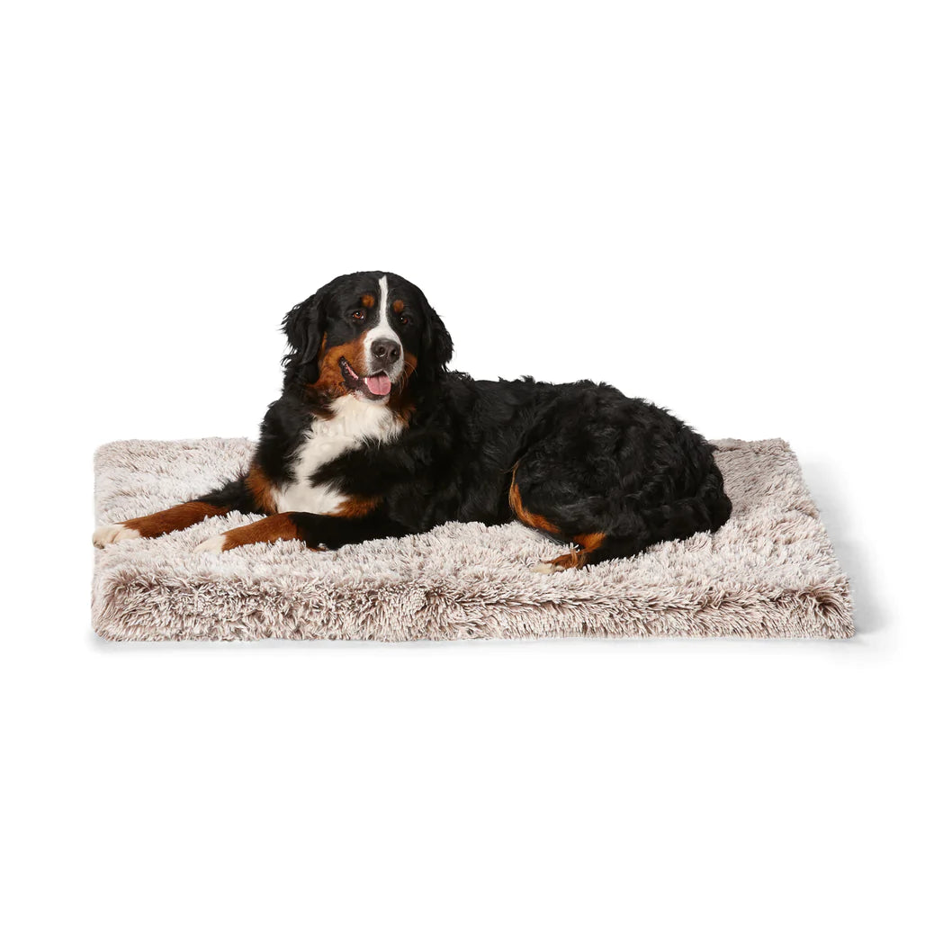 SNOOZA Calming Ortho Bed - Mink