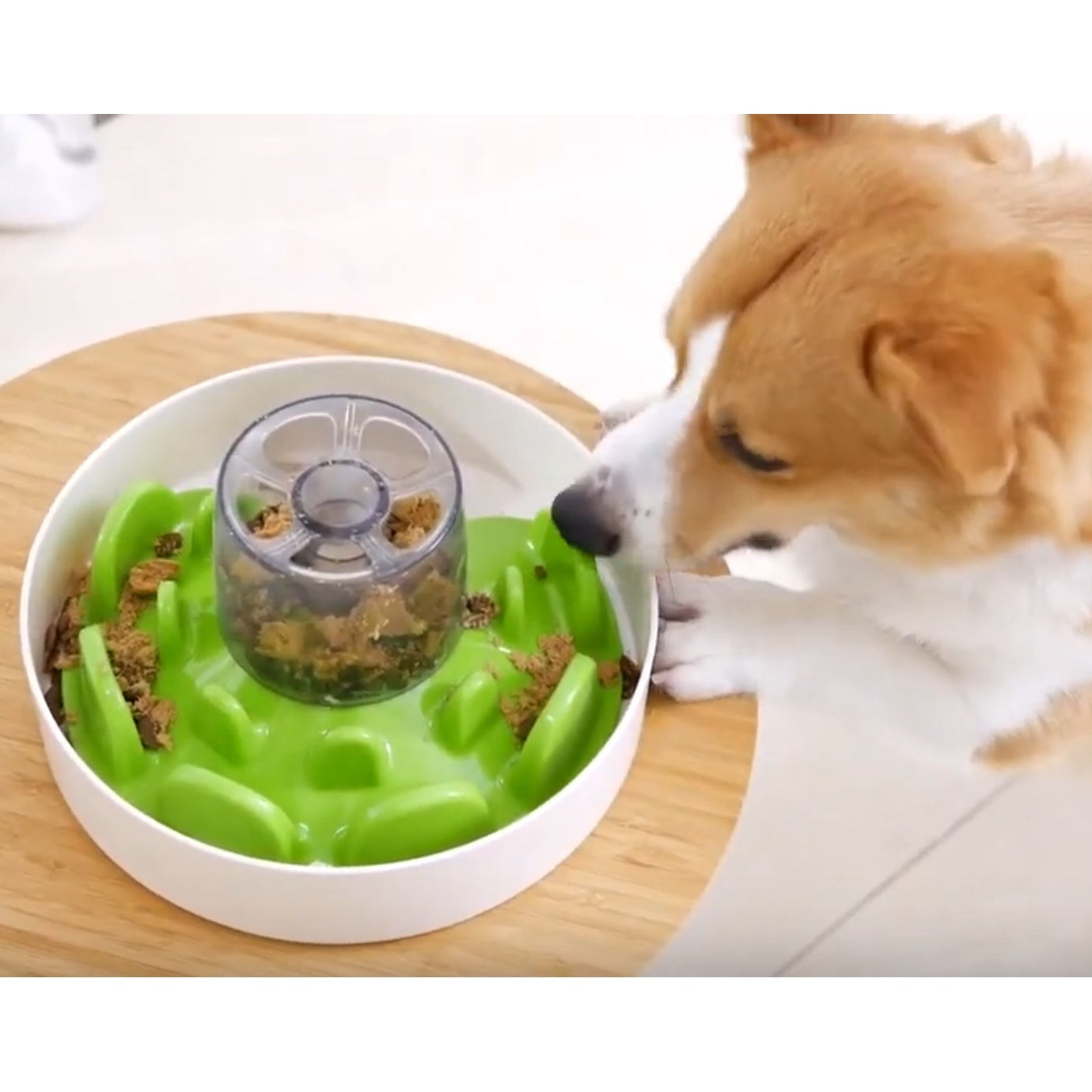 SPIN UFO Maze Interactive Dog Bowl and Slow Feeder – The General