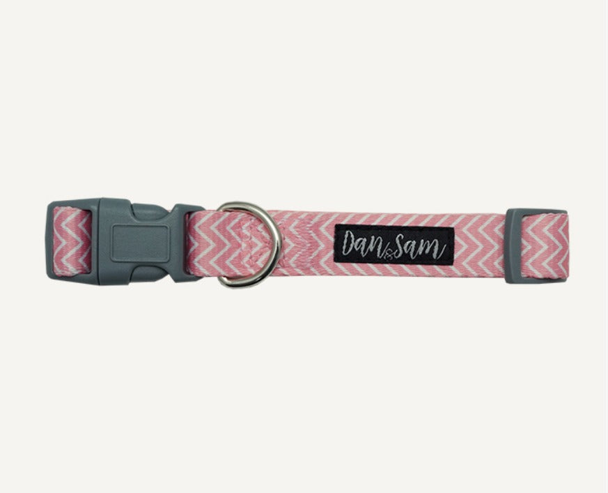 D&S Candy Floss Dog Collar