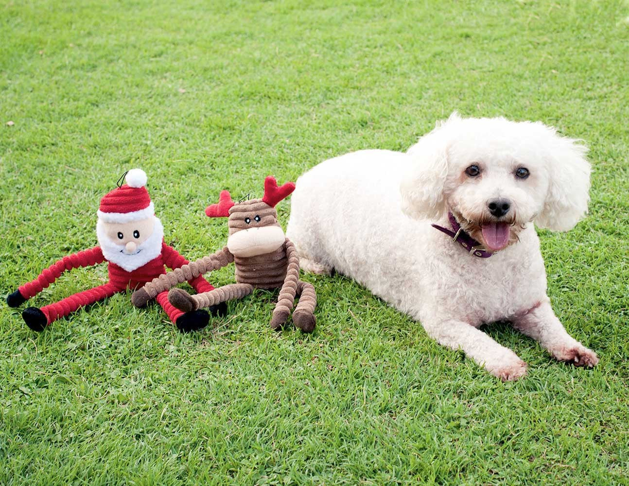 Zippy Paws Christmas Crinkle Dog Toy - Small Santa