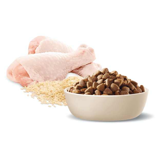 ADVANCE Adult - Active - All Breed - Chicken with Rice 13kg