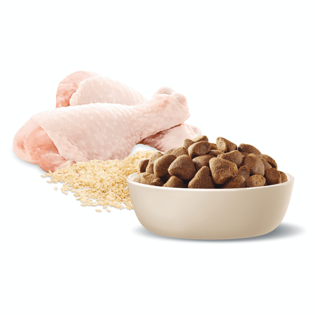 ADVANCE Adult - Large Breed - Chicken with Rice 15kg