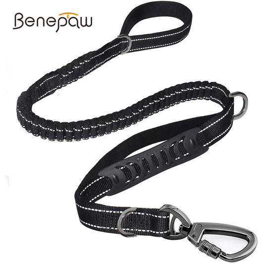 Reflective Bungee Dog Leash