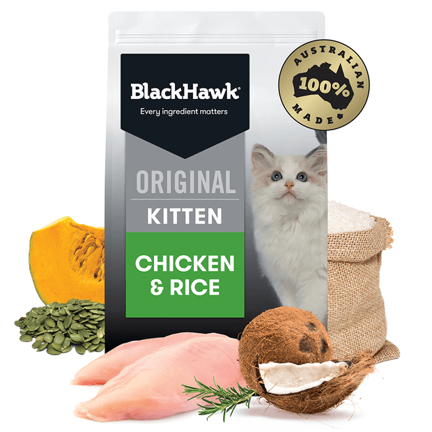 BLACK HAWK Kitten - Chicken & Rice