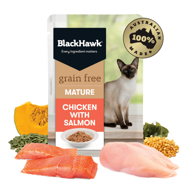 BLACK HAWK Grain Free - Mature 7+ Chicken & Salmo in Jelly 12 x 85g