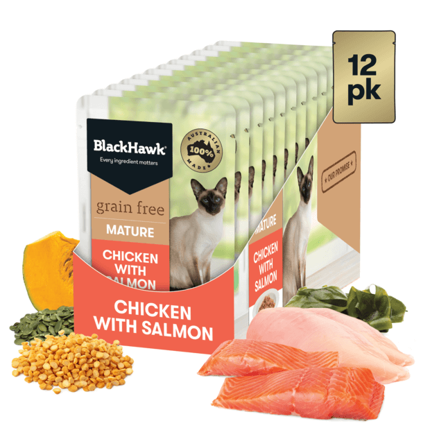 BLACK HAWK Grain Free - Mature 7+ Chicken & Salmo in Jelly 12 x 85g