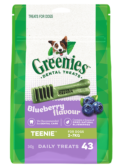 GREENIES Blueberry Dental Chews