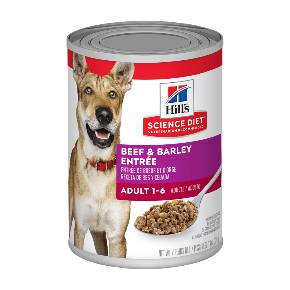 HILLS SCIENCE DIET Adult Everyday Wet Food - Beef & Barley x12