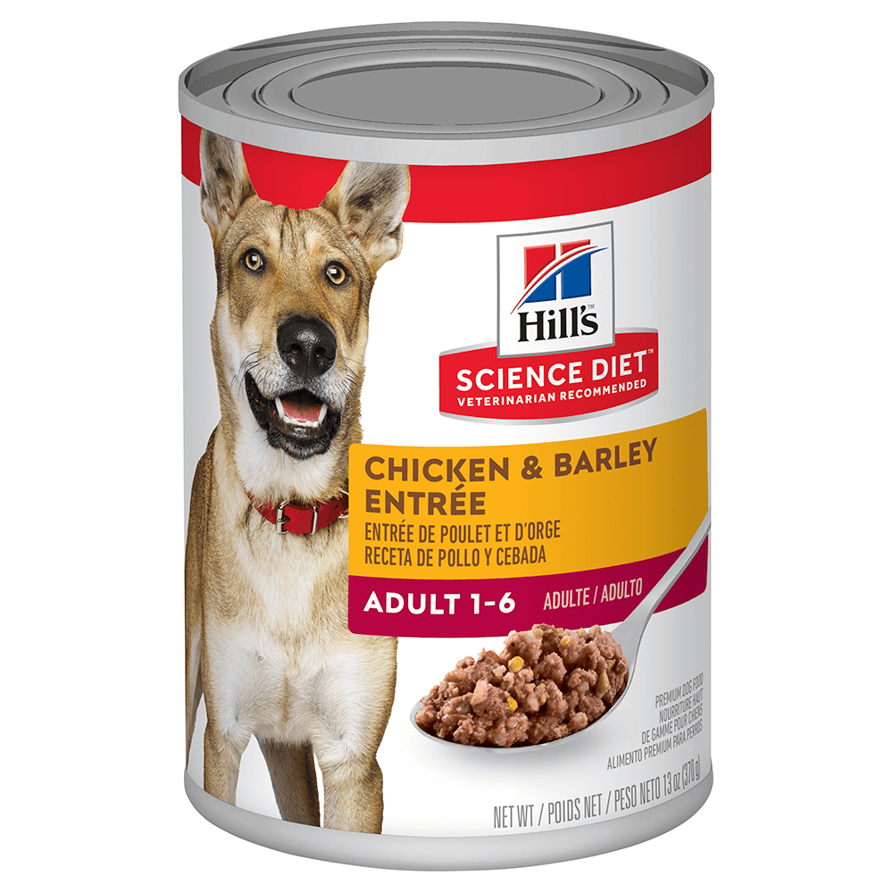 HILLS SCIENCE DIET Adult Everyday Wet Food - Chicken & Barley Entree x12