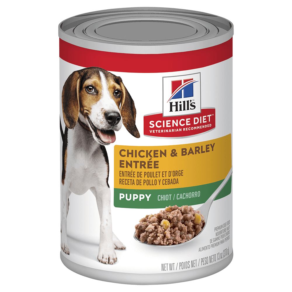 HILLS SCIENCE DIET Everyday Puppy - Chicken & Barley Entree x12