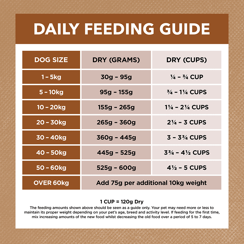 IVORY COAT Adult - Grain Free - Lamb & Kangaroo