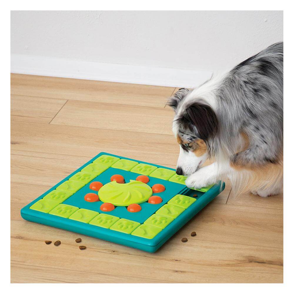 Nina Ottosson Multipuzzle Treat Dispensing Interactive Dog Game Level 4